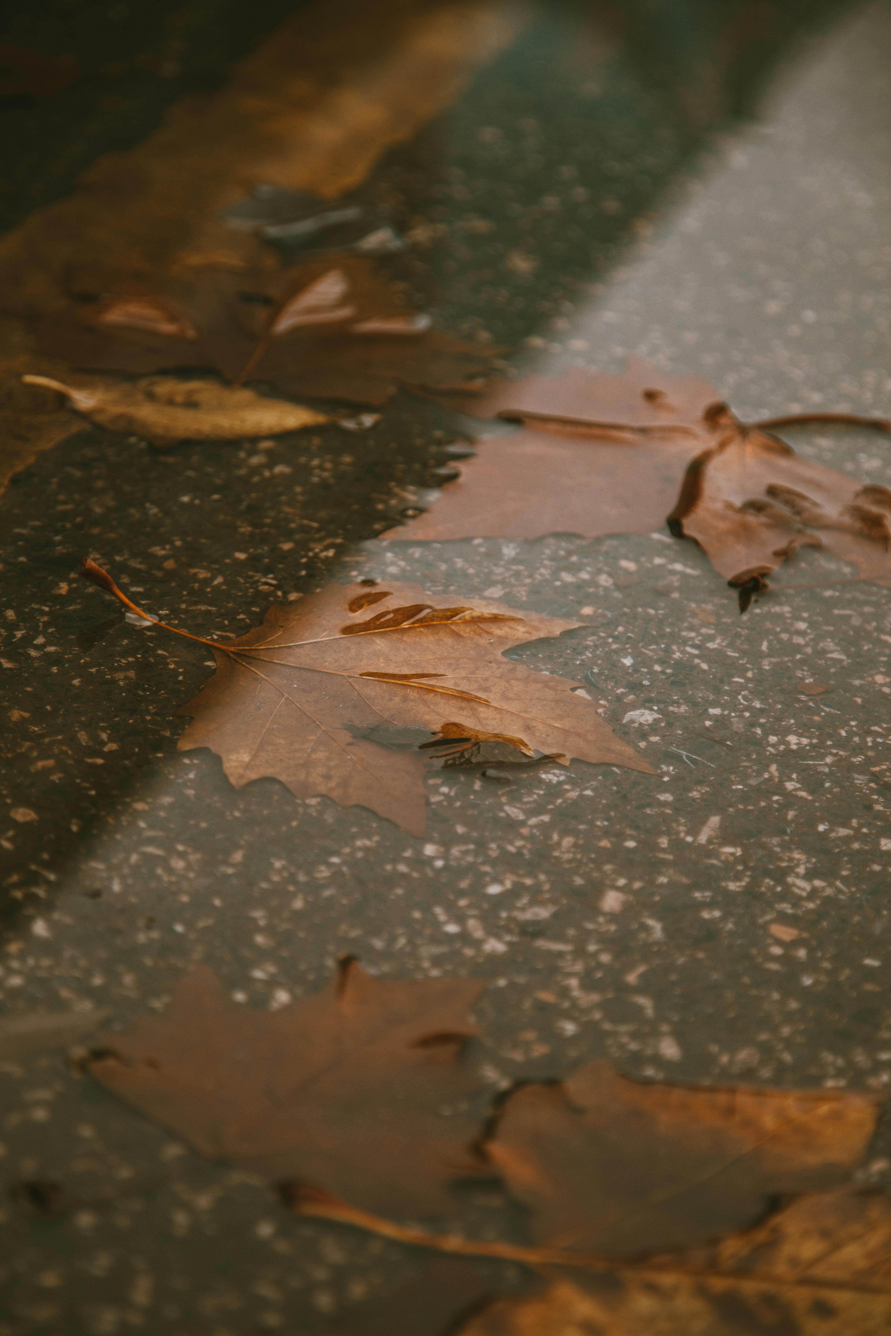 flood